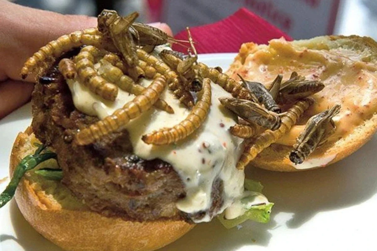 2030-cu ilin qidaları: Laboratoriyada hazırlanan sosislər və böcək hamburgerləri  - FOTO