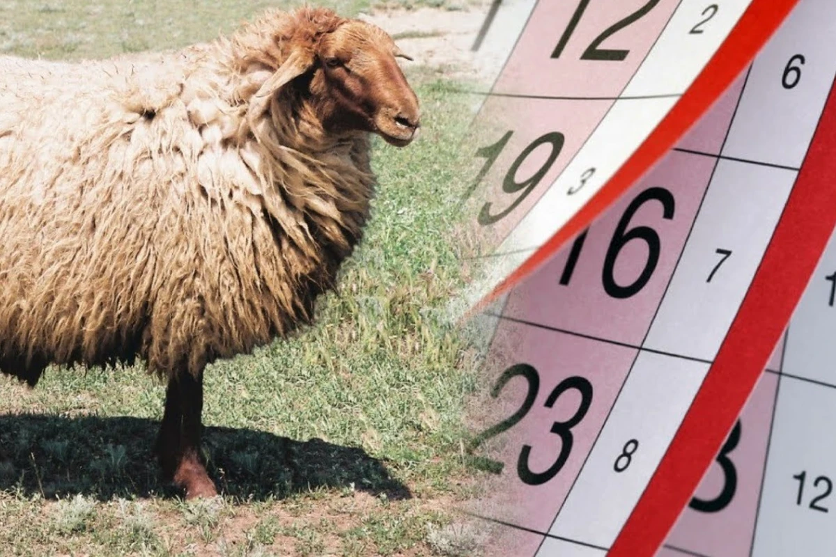 Gələn il üçün Qurban bayramının tarixi açıqlandı