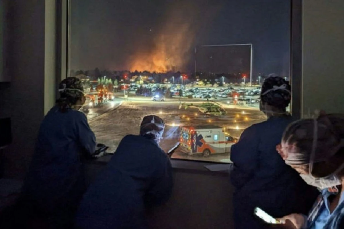 Yeni ilin ilk gününü meşə yanğını ilə qarşıladılar - FOTO