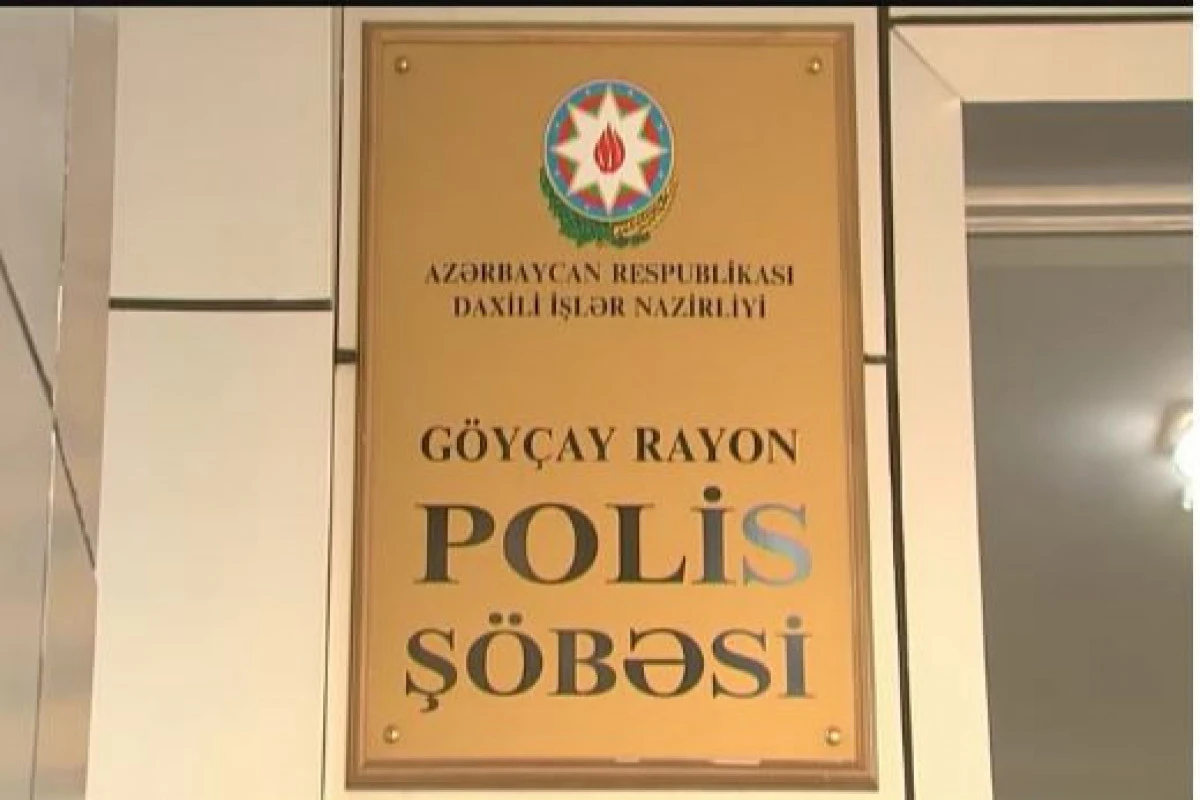 Göyçayda silsilə oğurluqlar edən həmkəndlilər saxlanılıb - FOTO