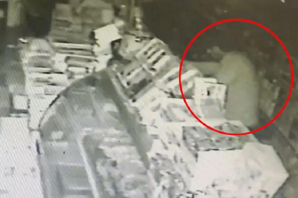 В Азербайджане ранее судимый и его подельник совершили кражи на 12 тысяч манатов - ВИДЕО