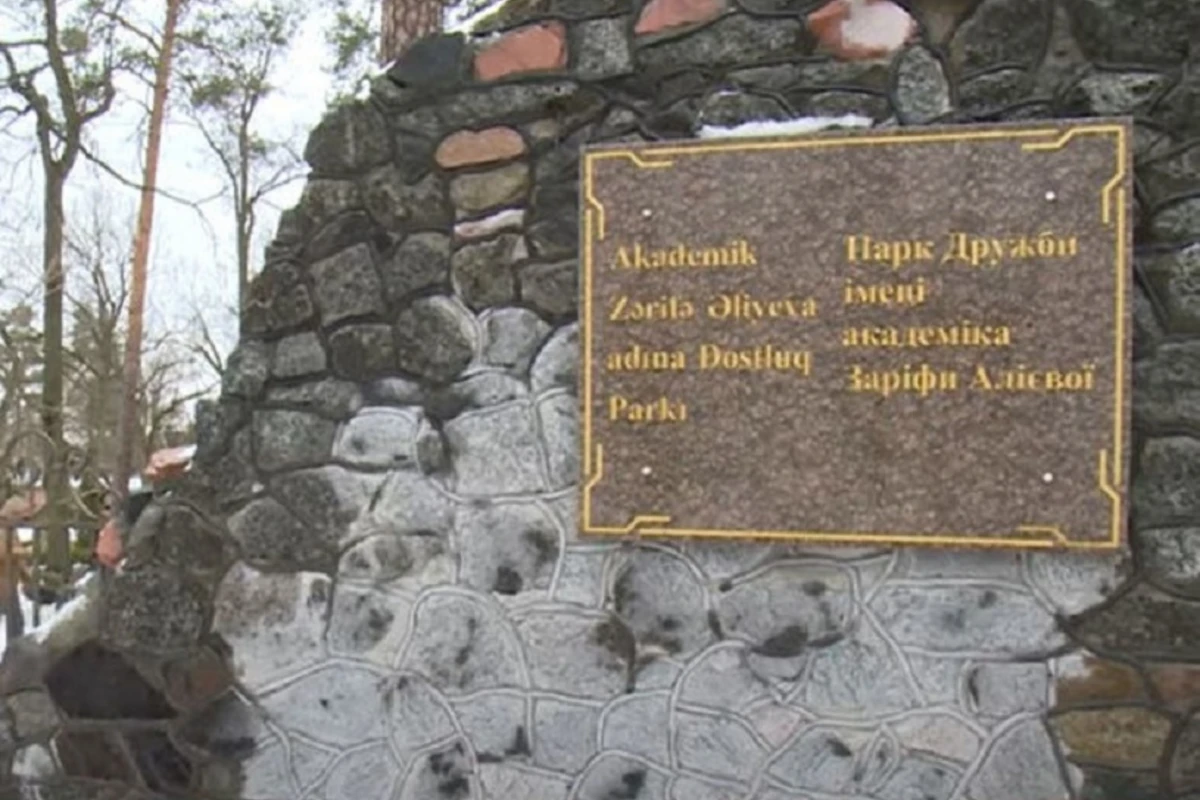 Репортаж из школы имени Зарифы Алиевой в Украине - ВИДЕО