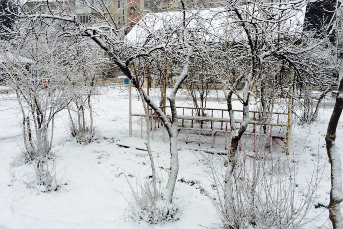 Qar yağacaq - PROQNOZ