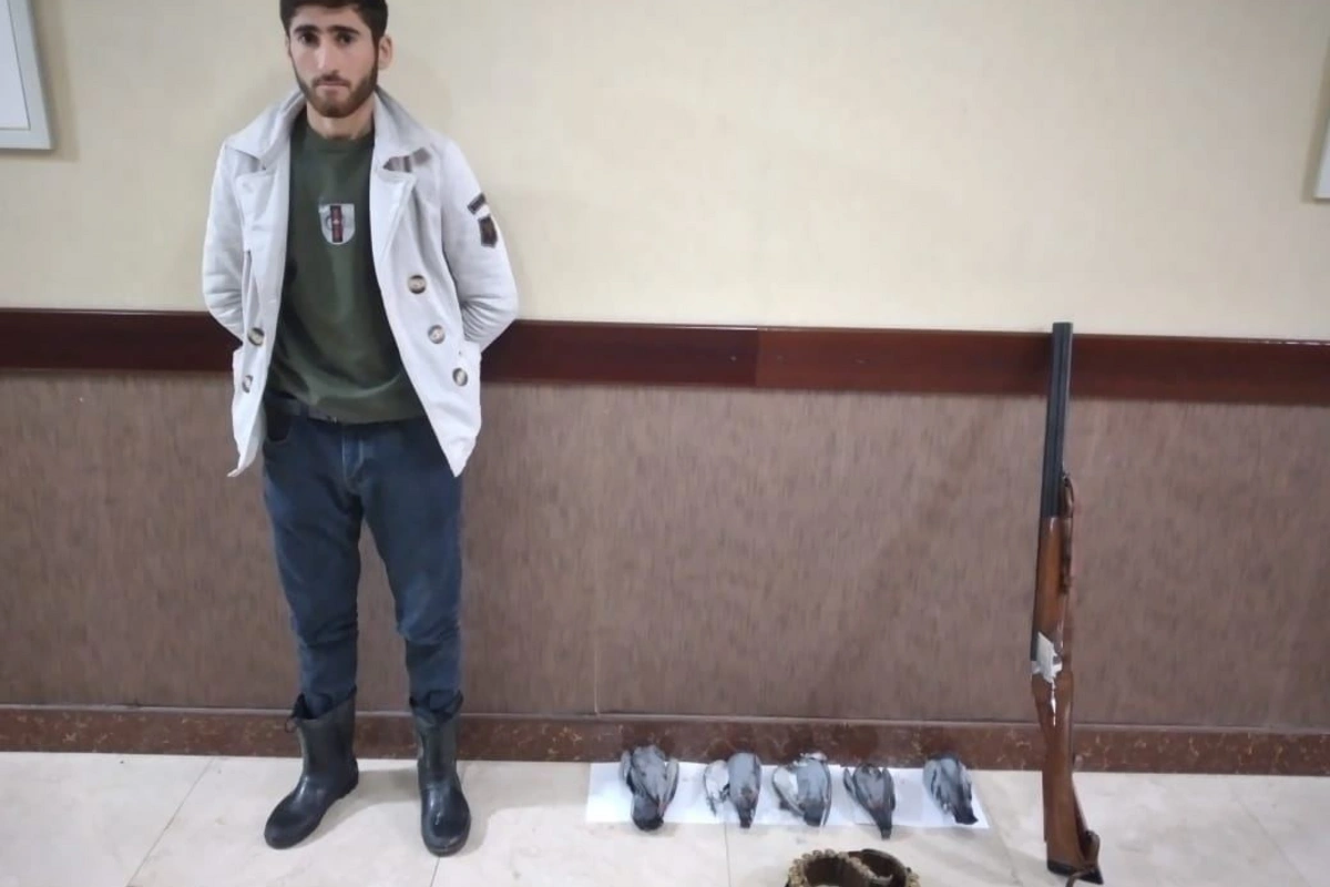 İsmayıllıda qanunsuz ov edən şəxs saxlanılıb