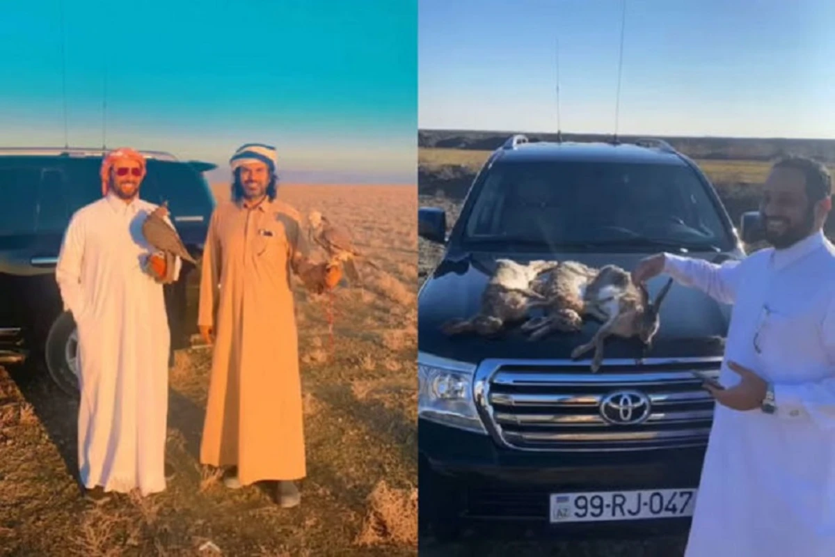 Ведется расследование в связи с незаконной охотой арабов в Азербайджане - ФОТО