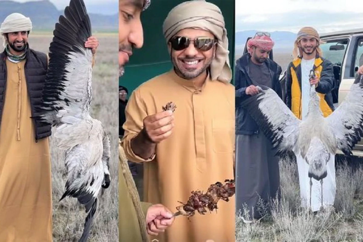 Qanunsuz ov edən ərəb turistlər ölkədən deportasiya edilib - RƏSMİ