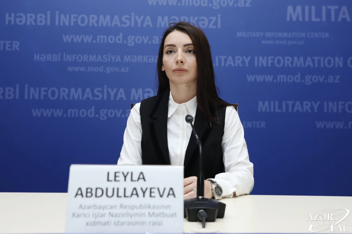 Лейла Абдуллаева ответила главе МИД Армении