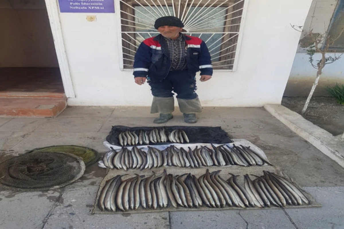 Salyan sakini nəsli kəsilməkdə olan balıq ovladı