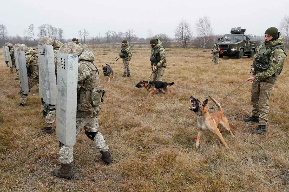 Украинские пограничники не оказывают сопротивления российским военным