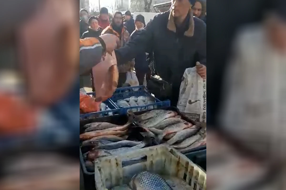 Азербайджанец порадовал киевлян бесплатной рыбой - ВИДЕО
