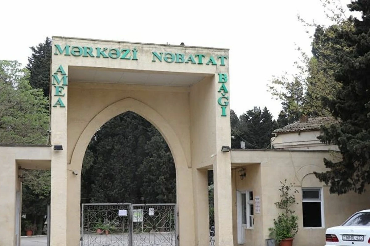 Mərkəzi Nəbatat Bağının binası qəzalı vəziyyətə düşüb