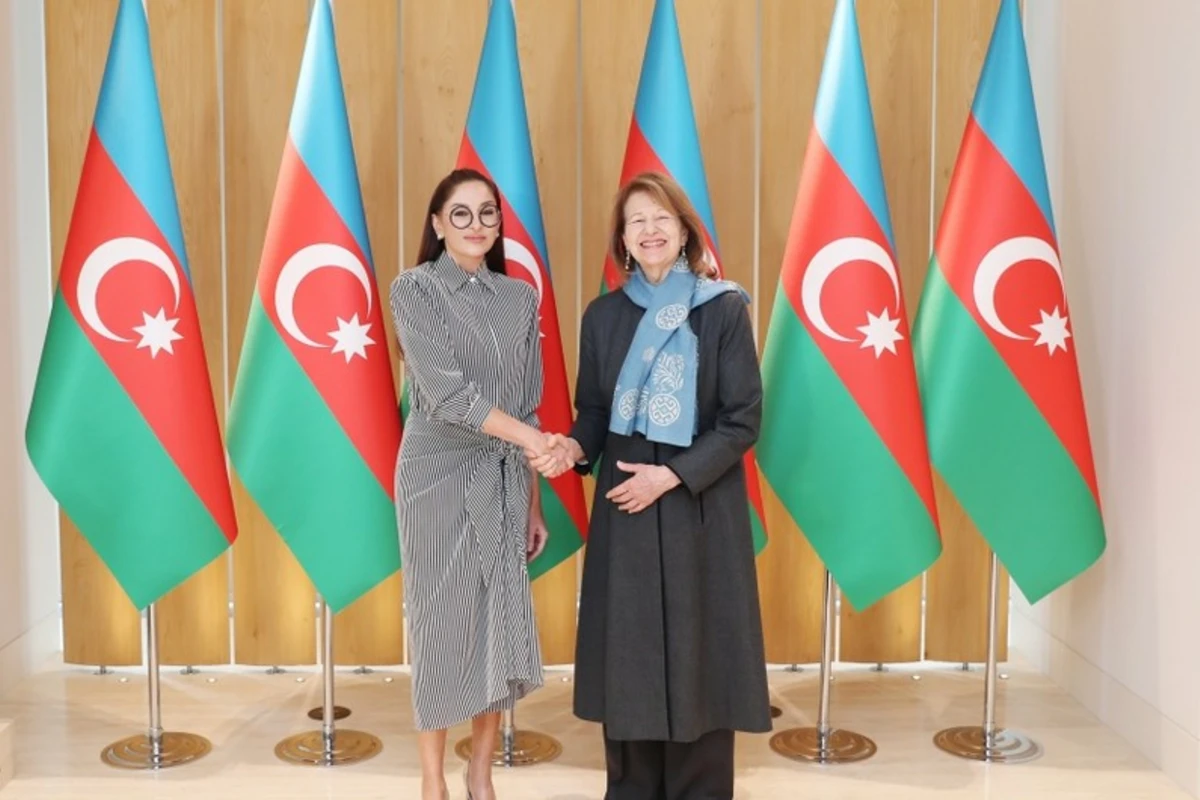 Mehriban Əliyeva Böyük Britaniya baş nazirinin Azərbaycan üzrə ticarət elçisi ilə görüşdü - FOTO