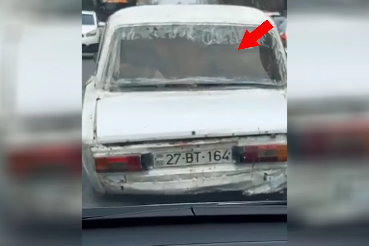Azərbaycanda görünməmiş olay - İnəkləri bu üsulla apardılar - VİDEO
