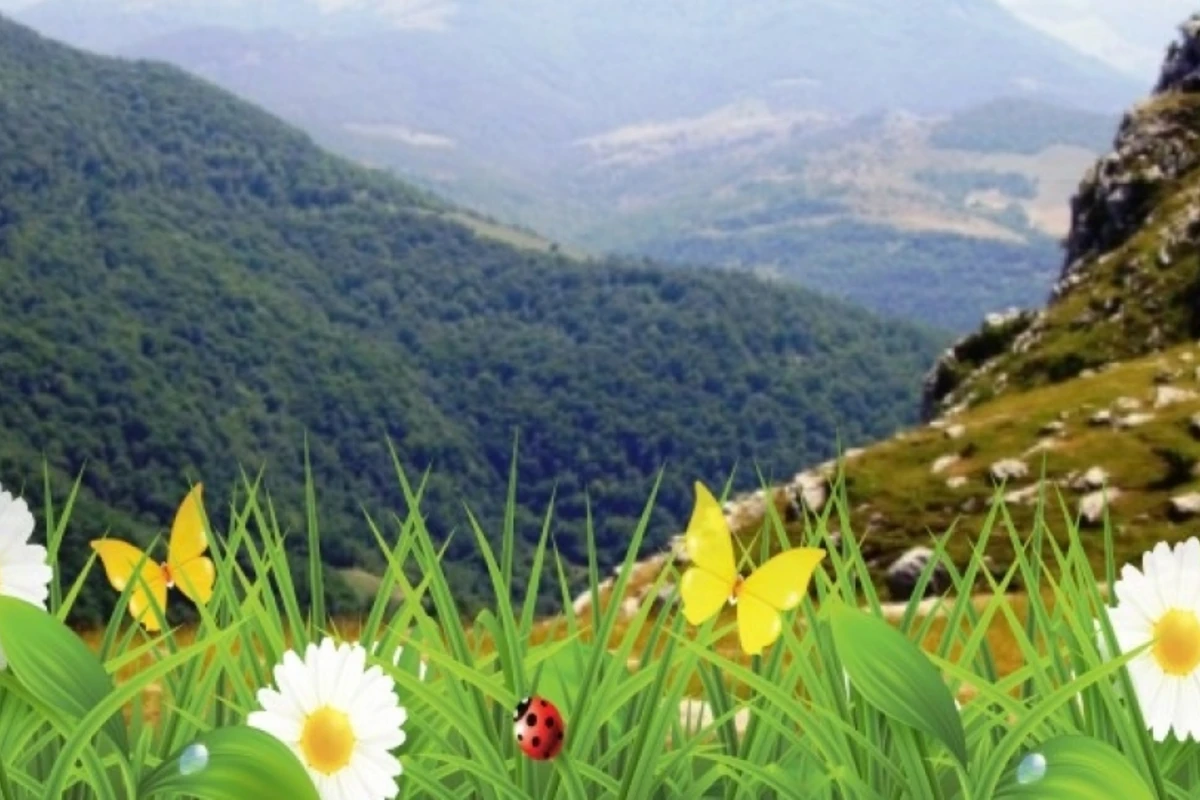 Azərbaycana yaz fəsli gəlib