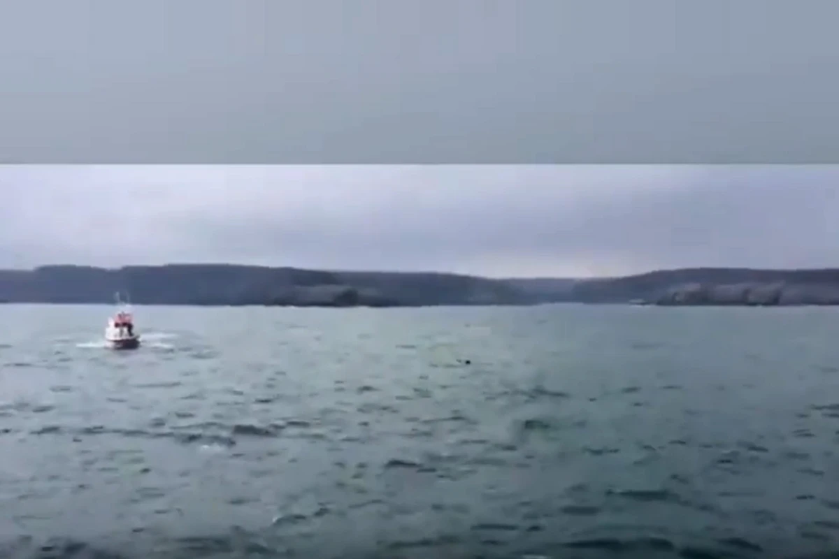 Bosforda minaya bənzər cisim zərərsizləşdirildi - FOTO - YENİLƏNİB