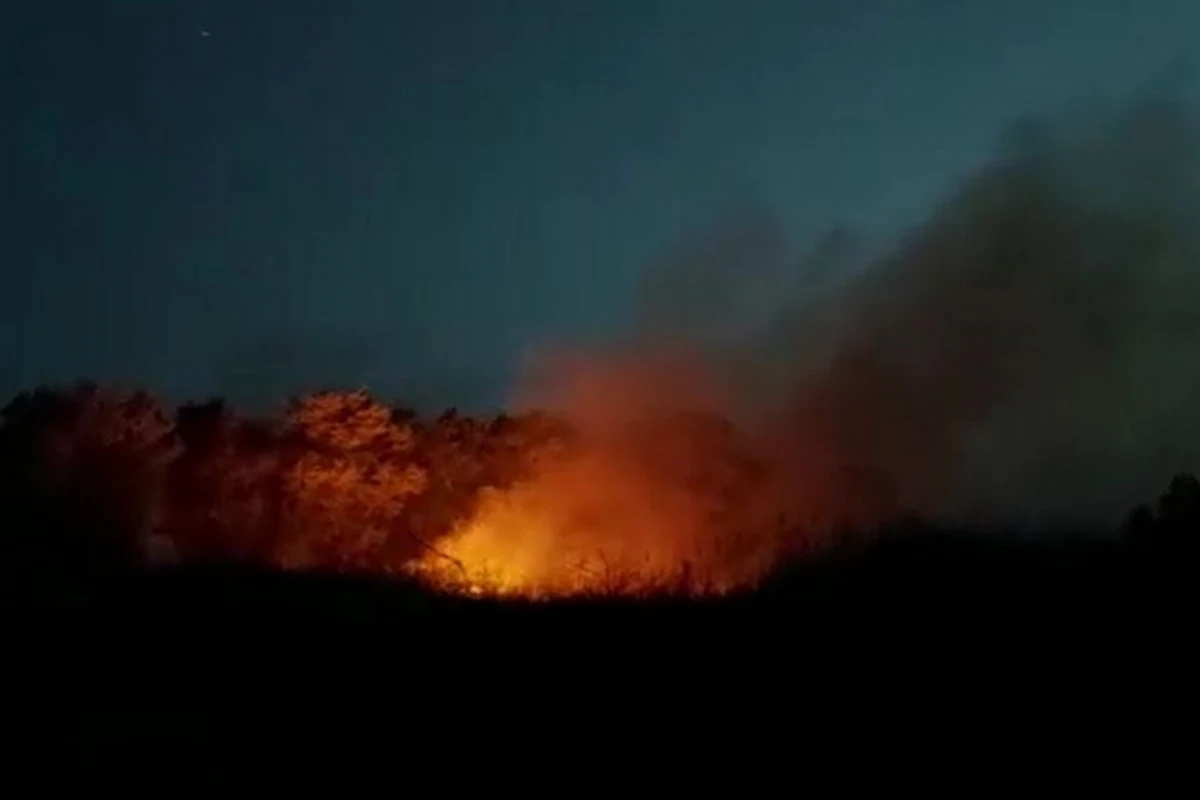 На азербайджано-иранской границе произошел пожар - ВИДЕО