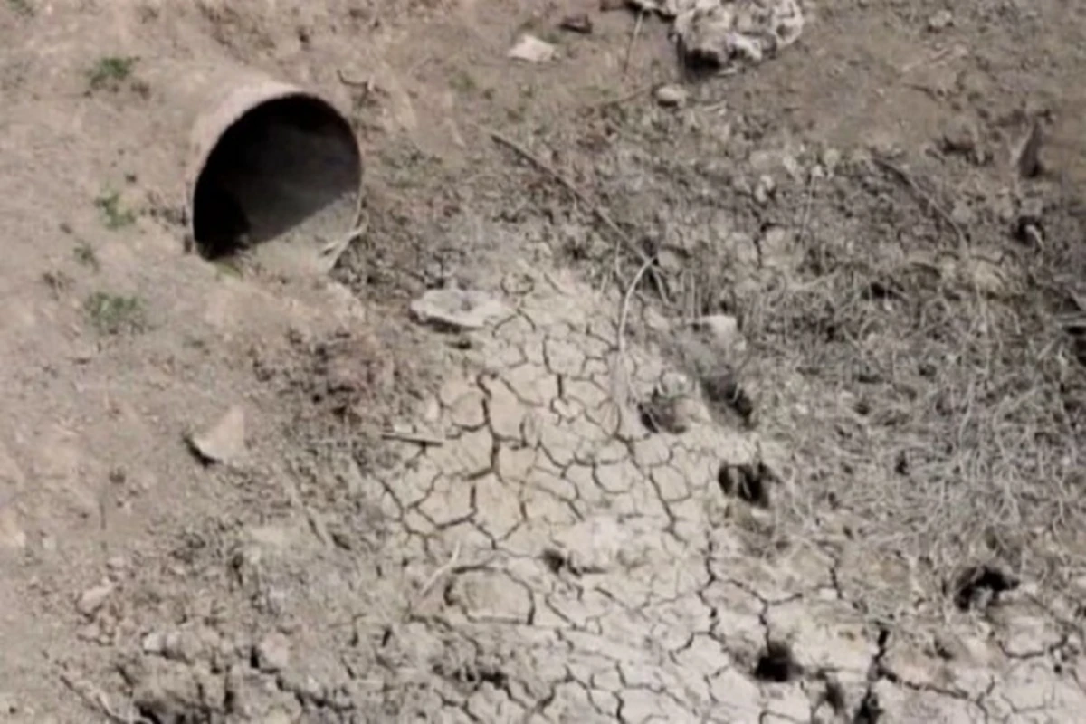 Kəndli su tapmır: Əkinlər qurumaq üzrədir - VİDEO