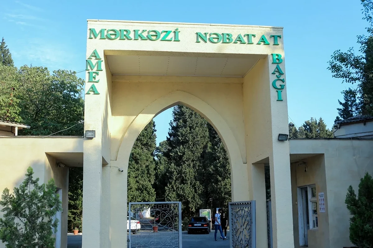Mərkəzi Nəbatat Bağındakı qanunsuz tikililər sökülür