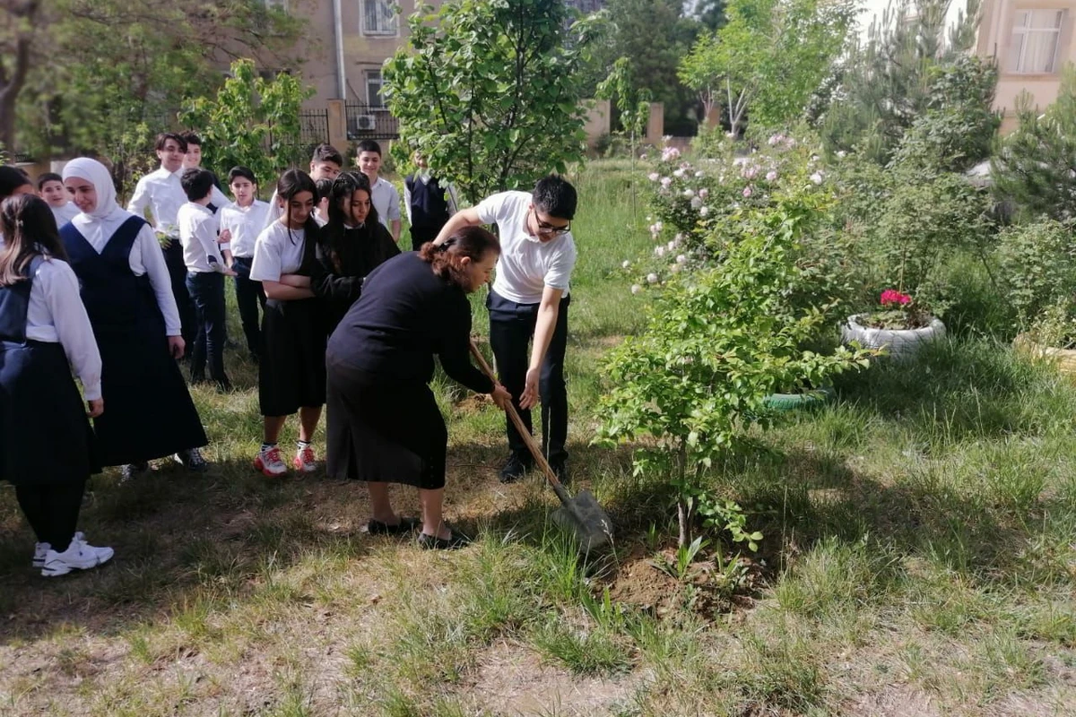 Bakıda orta məktəbdə “Təbiəti qoruyanlar mövzusunda açıq dərs keçirilib - FOTO