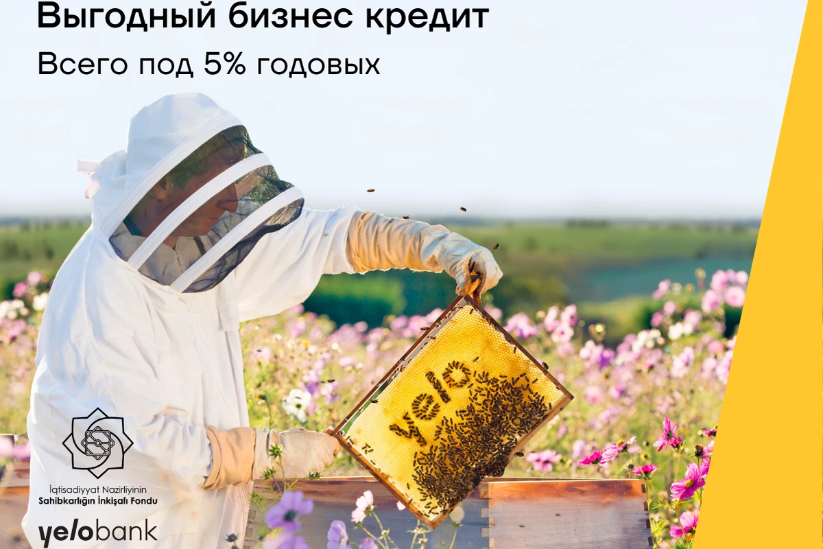 Развивайте свой бизнес с кредитом от Yelo Bank под 5% годовых