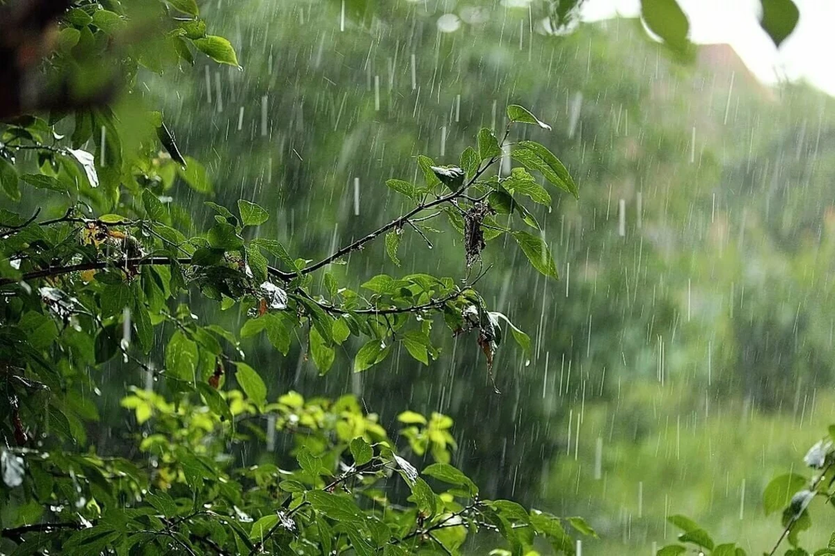 Hava kəskin dəyişəcək - XƏBƏRDARLIQ Hava kəskin dəyişəcək - XƏBƏRDARLIQ