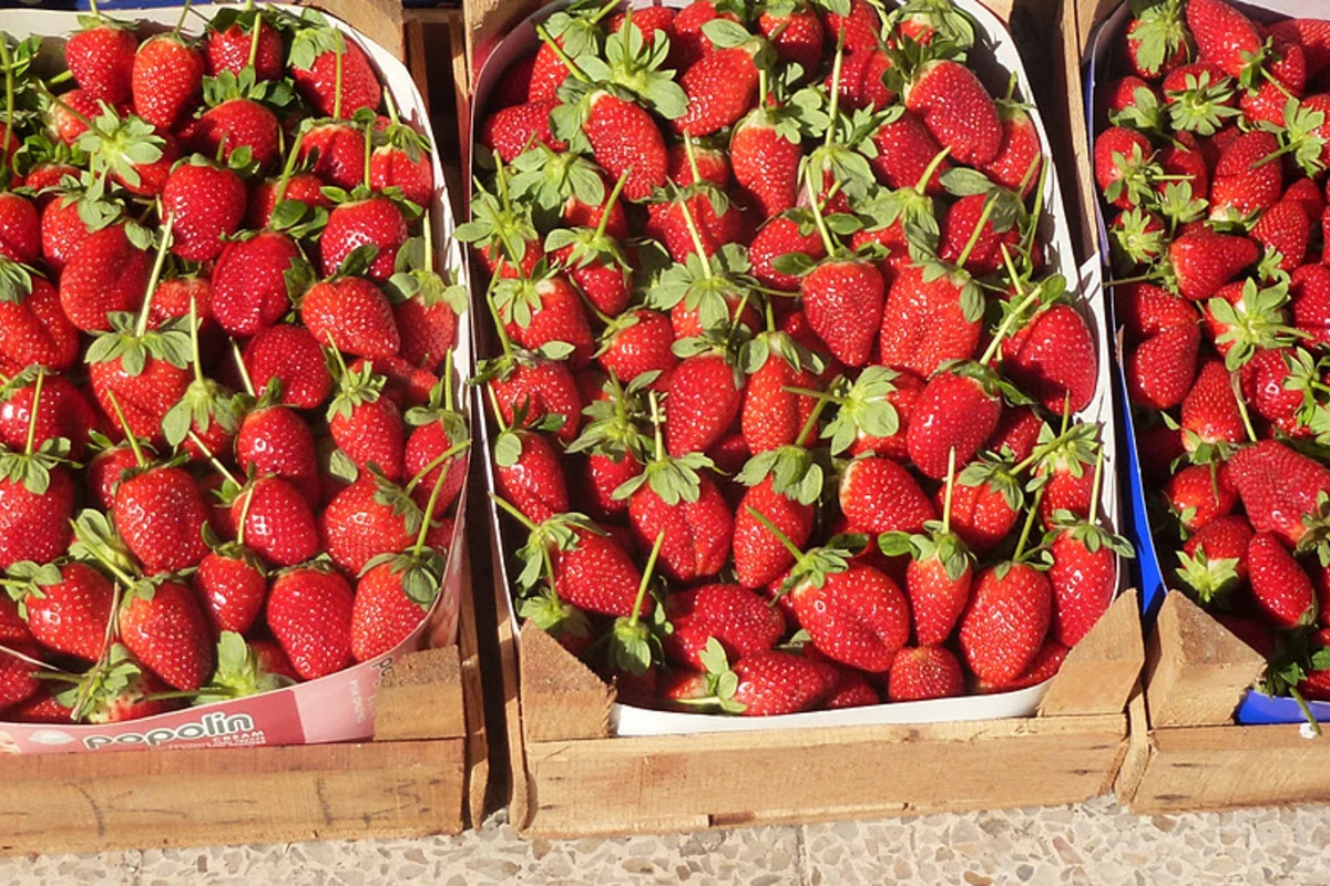 В Азербайджане три члена одной семьи отравились клубникой