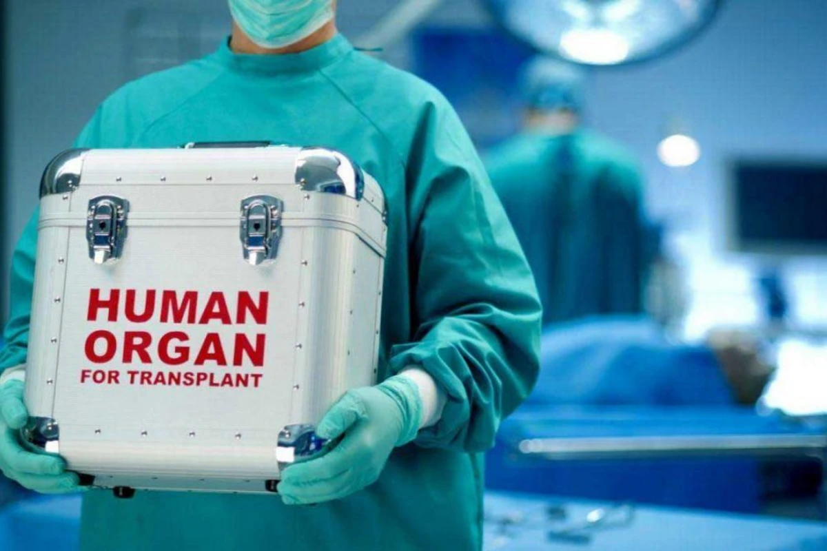 Azərbaycanda donor bankı yaradıldı