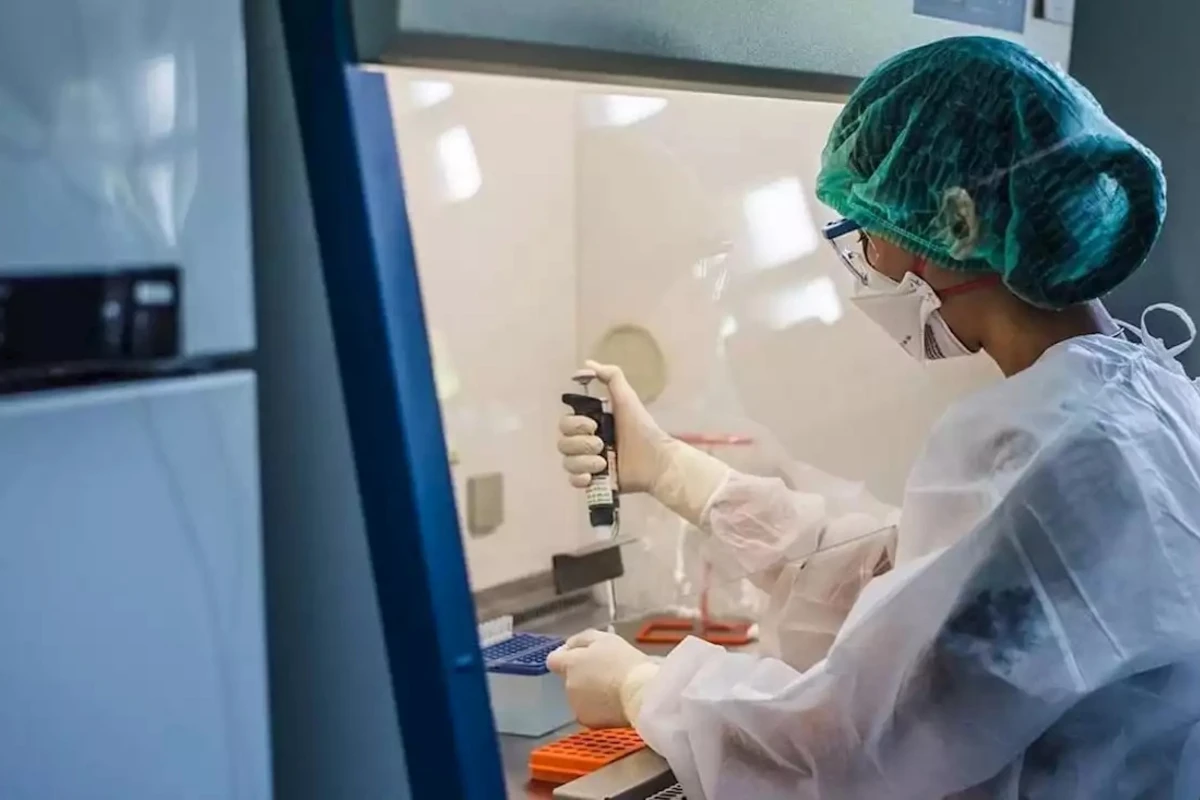 Hamını qorxuya salan yeni virus - Meymun çiçəyi - Nə qədər öldürücüdür?