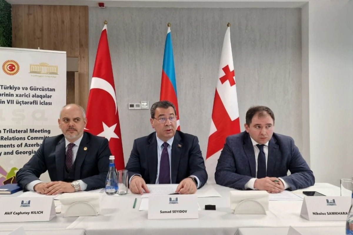 Azərbaycan, Türkiyə, Gürcüstan parlamentarilərinin növbəti iclası harada keçiriləcək? - TƏKLİF Azərbaycan, Türkiyə, Gürcüstan parlamentarilərinin növbəti iclası harada keçiriləcək? - TƏKLİF