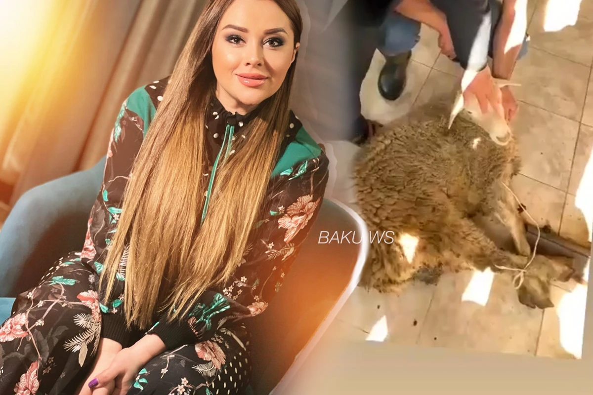 Xatirə Elnurun oğlu üçün dediyi qurbanı kəsdirdi - VİDEO