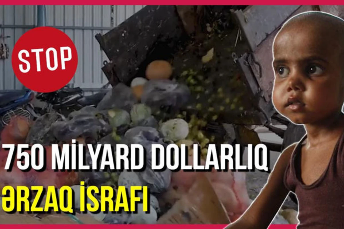 Zibilə atılan ərzaqla dünyadakı aclar doyardı - VİDEO Zibilə atılan ərzaqla dünyadakı aclar doyardı - VİDEO