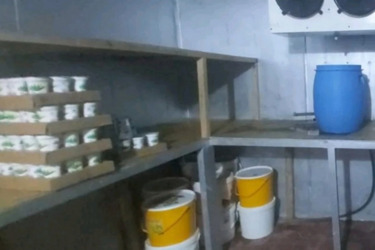 Bakıda süd məhsullarının istehsalı müəssisəsi nöqsanlara görə bağlanıb - FOTO