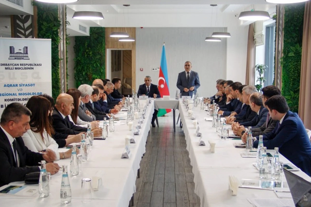 Parlamentin iki komitəsi Şuşada iclas keçirdi - FOTO