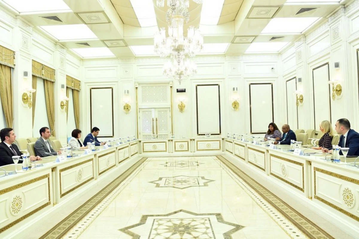 Milli Məclisin sədri BMT Baş Assambleyasının prezidenti ilə görüşdü
