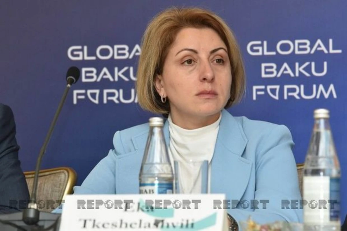 Tkeşelaşvili: “Qonşu ölkəyə təcavüz cəzasız qalmamalıdır”