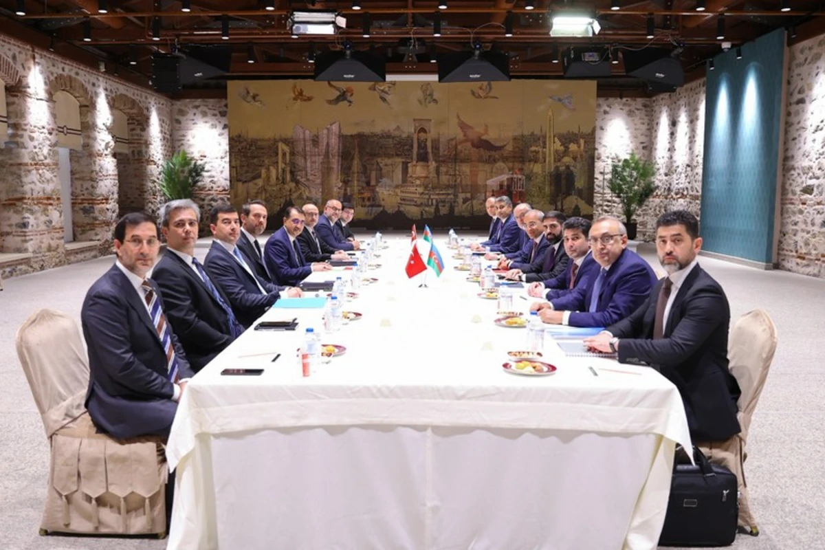 Mikayıl Cabbarov Türkiyənin energetika və təbii sərvətlər naziri ilə görüşüb - FOTO