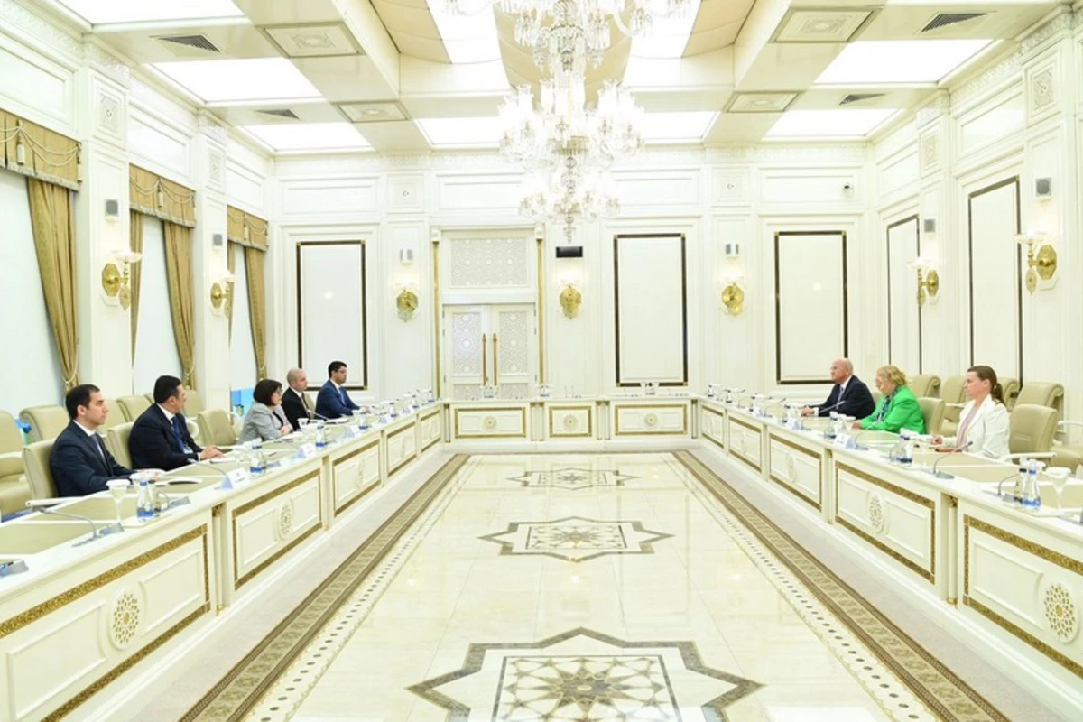 Sahibə Qafarova BMT Baş katibinin müavini ilə görüşdü