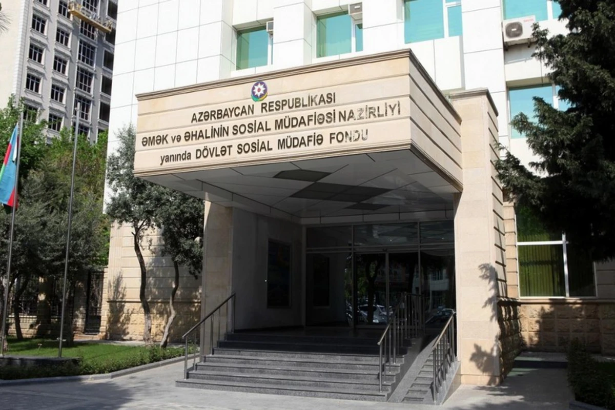İcbari şəxsi sığorta üzrə cavabdehlik DSMF-yə verildi