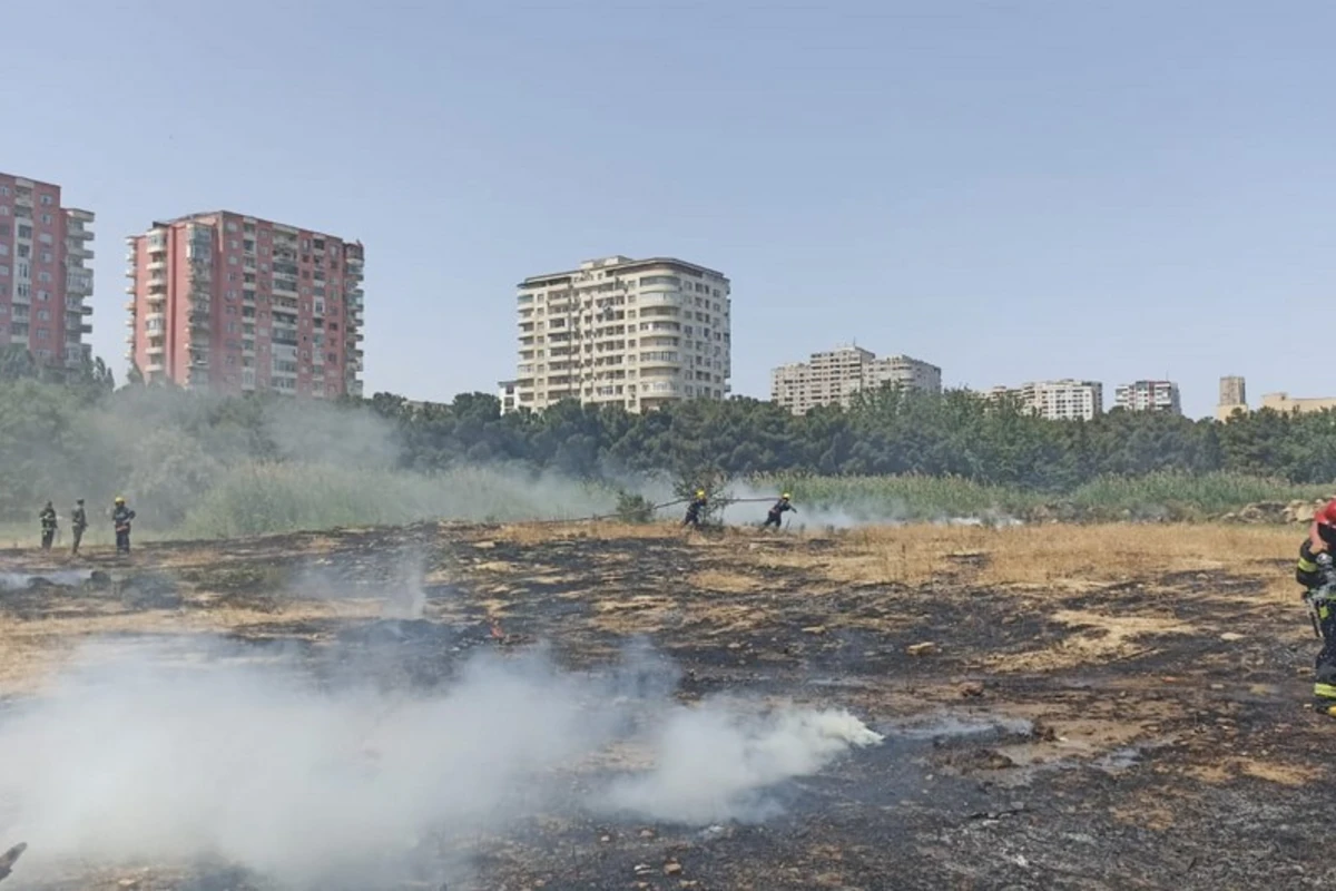 Bakıda parkda qəsdən yanğın törədilib, saxlanılan var - FOTO Bakıda parkda qəsdən yanğın törədilib, saxlanılan var - FOTO
