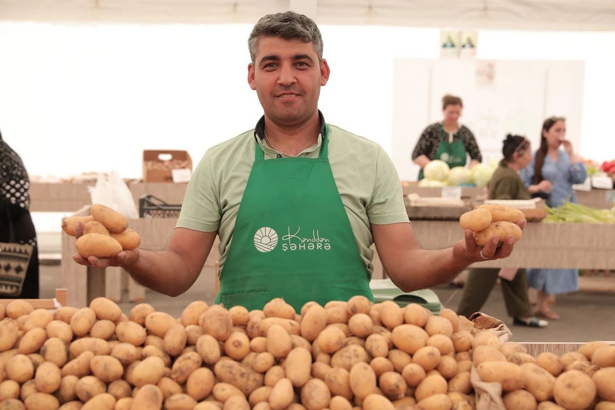 Bu ərazilərdə ucuz bazar olacaq - FOTO