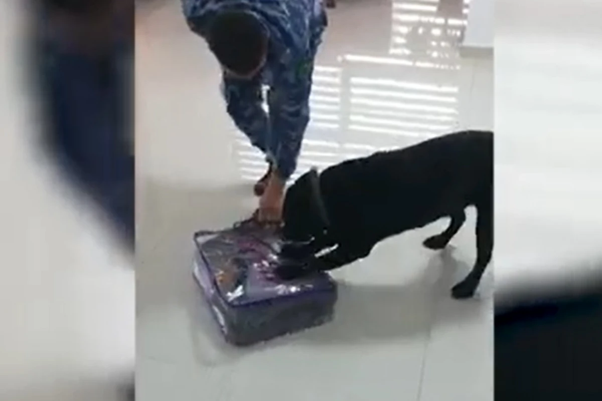 Poçt bağlamasında narkotik aşkarlandı - FOTO/VİDEO Poçt bağlamasında narkotik aşkarlandı - FOTO/VİDEO