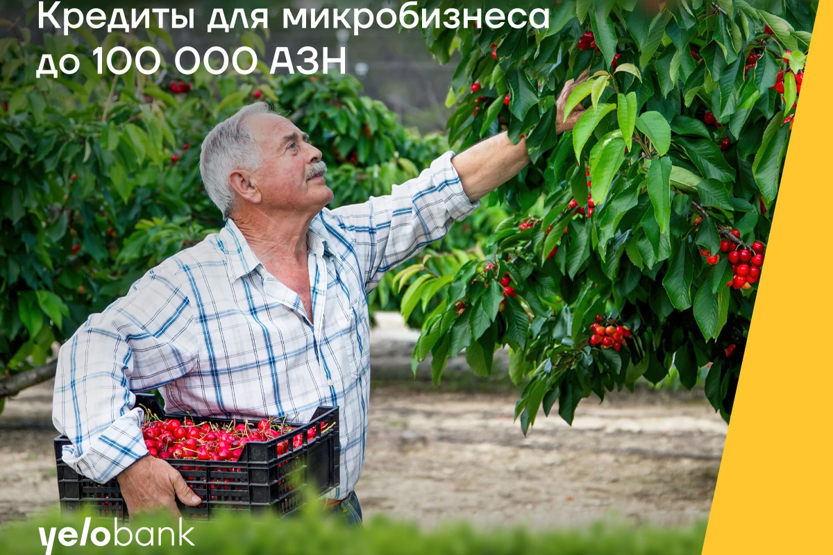 Кредит для микробизнеса до 100 000 АЗН от Yelo Bank