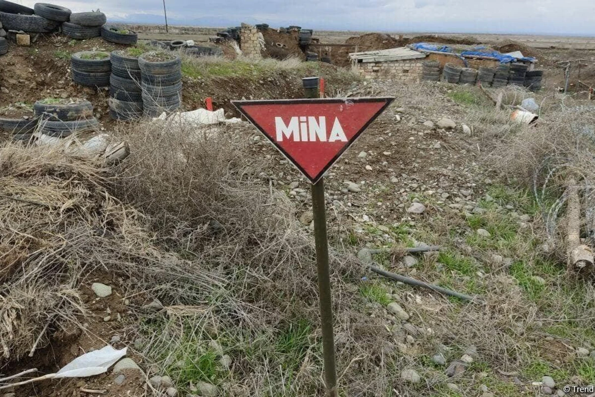 Mina və partlamamış sursatlardan təmizlənən ərazilərin sahəsi AÇIQLANDI