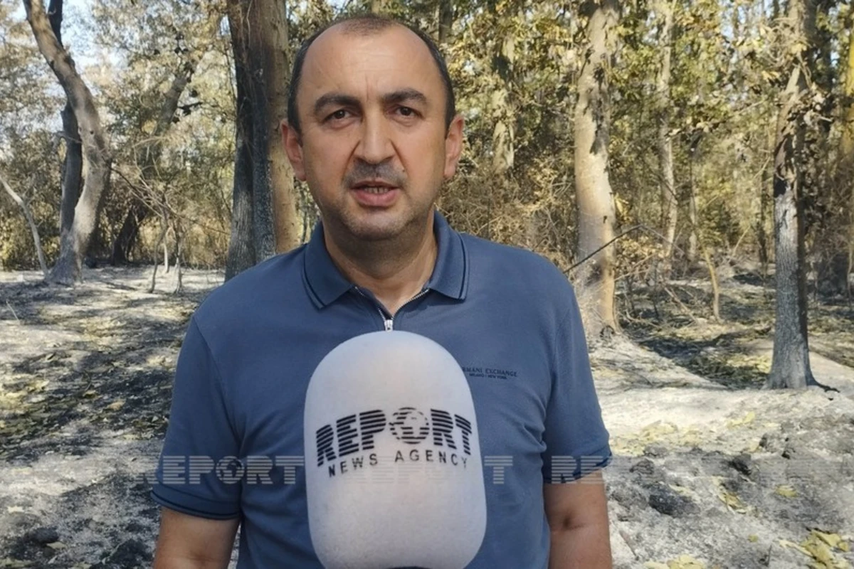 Nazir müavini: Xaçmazdakı yanğının günahkarları cəzalandırılmalıdır
