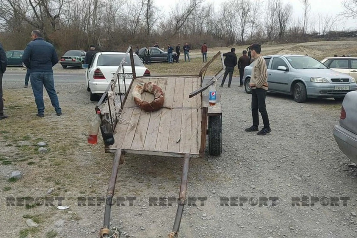 Minik avtomobili ilə at arabası toqquşub: Xəsarət alanlar var
