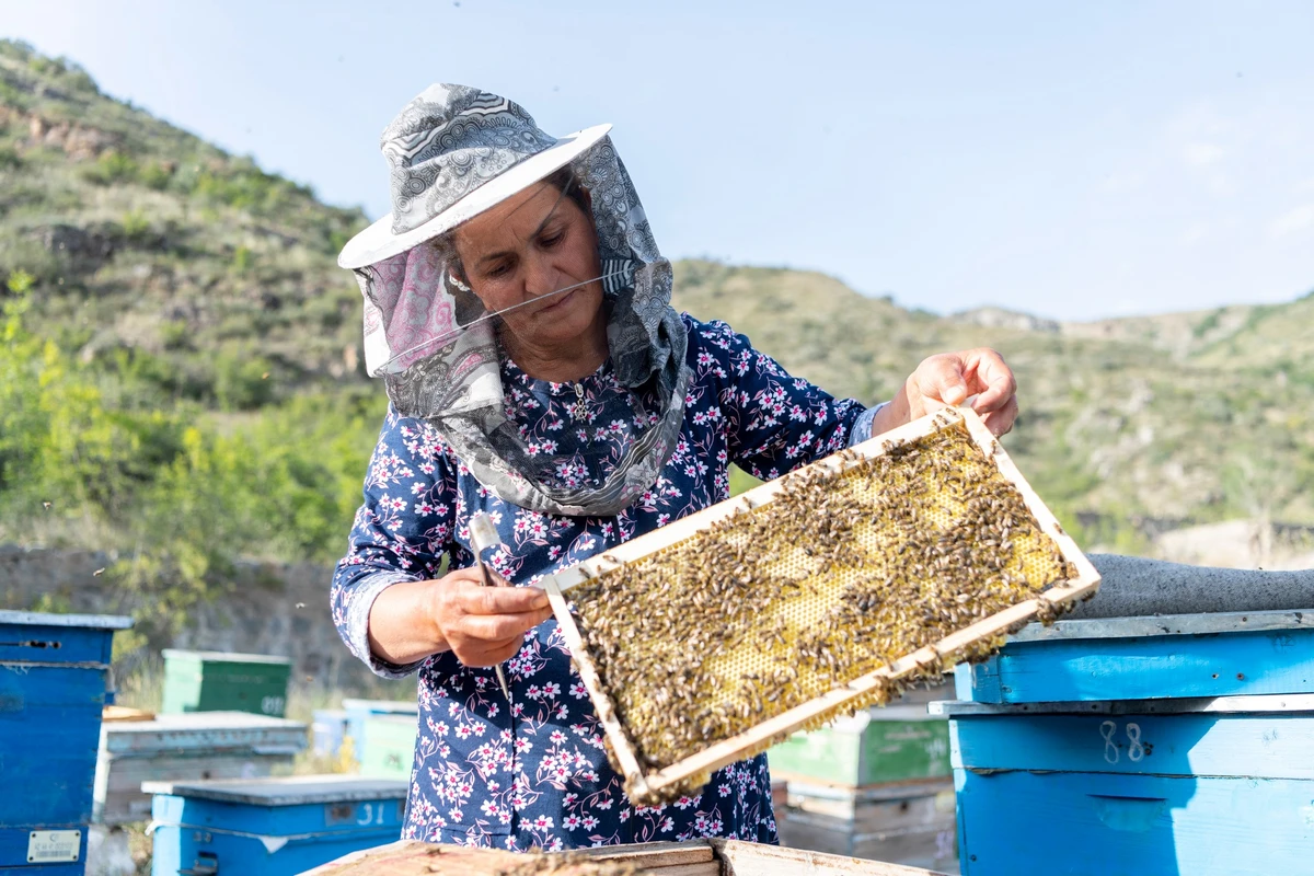 Laçın yaylaqlarında həyat - FOTOSESSİYA