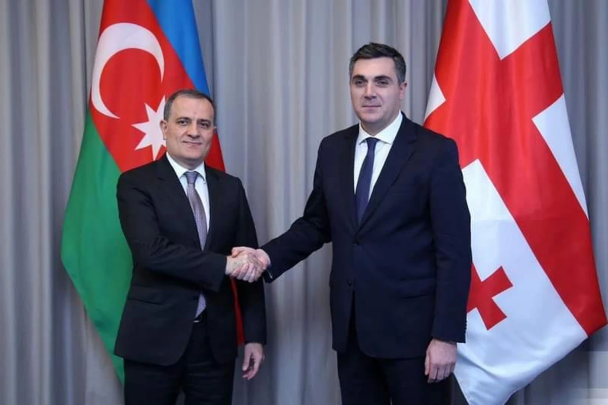 Gürcüstan XİN rəhbəri: Regionda sülh və sabitlik üçün birgə səylərimiz öz nəticəsini verəcək