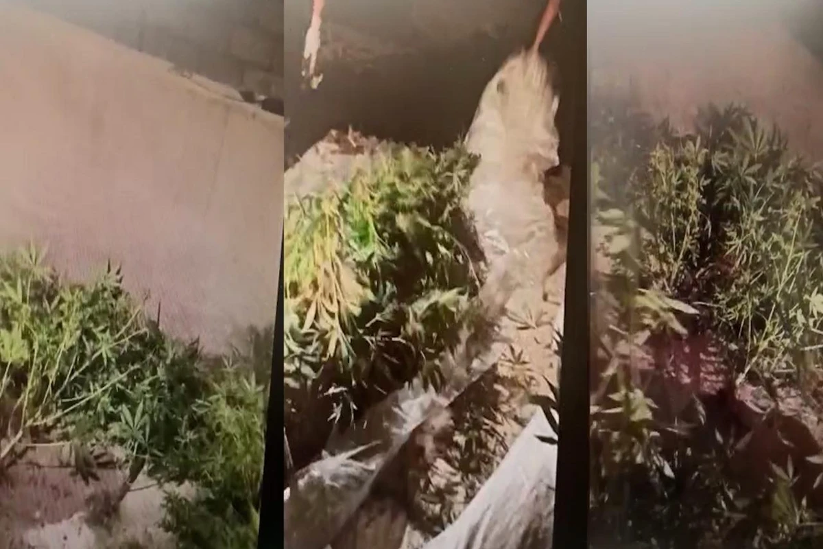 Polisdən əməliyyat: Saxlanılan var - FOTO/VİDEO