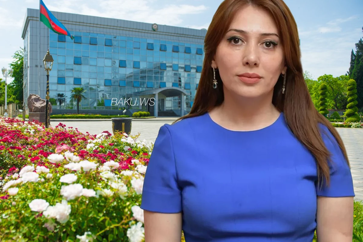 Жители Лянкярана осуждают действия бывшего замглавы ИВ - ВИДЕО