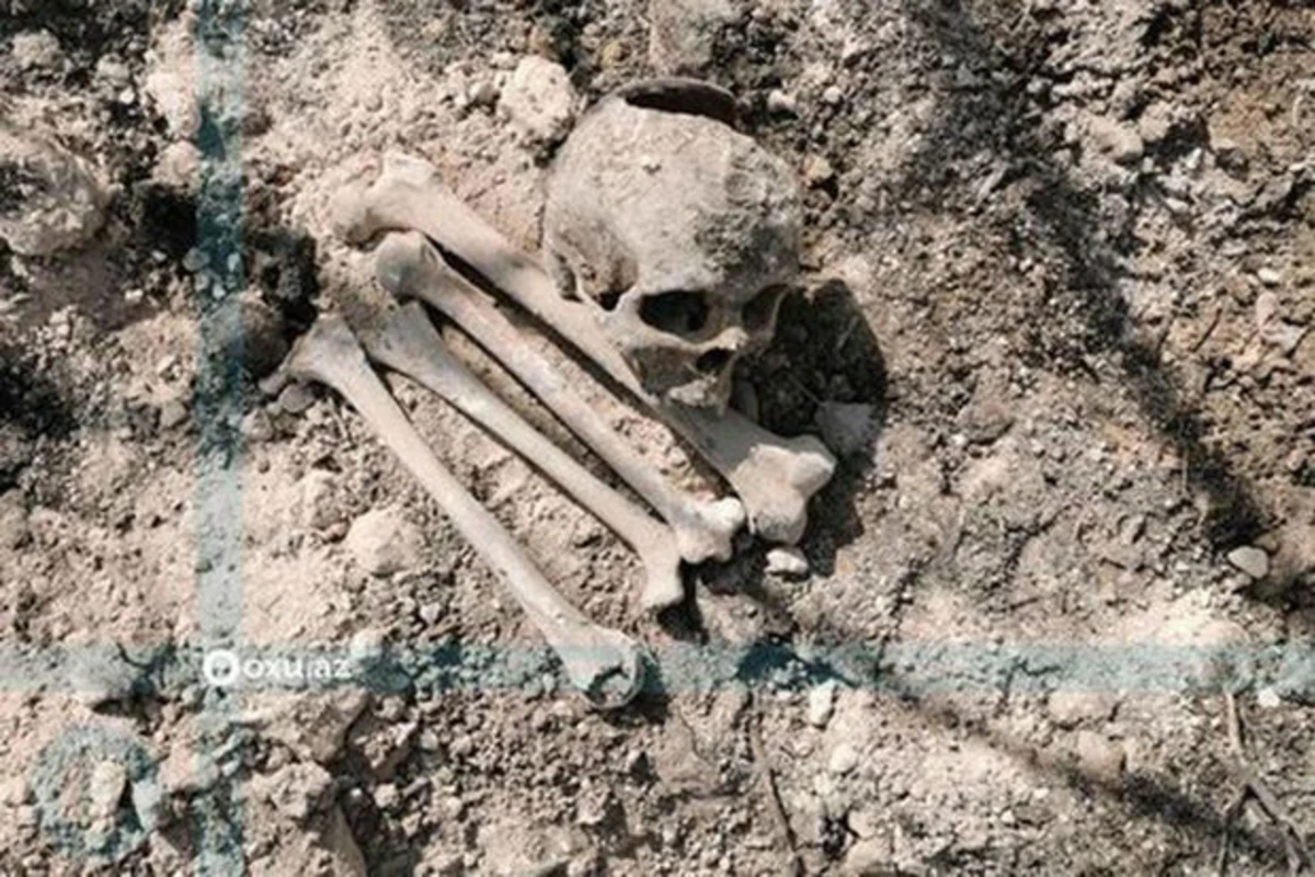 Beyləqanda sümük qalıqları aşkarlandı: Araşdırma aparılır